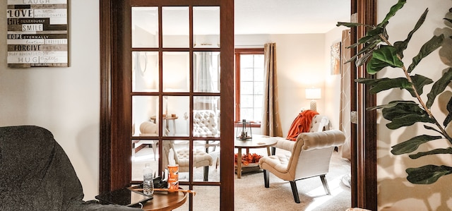 sitting room with carpet flooring