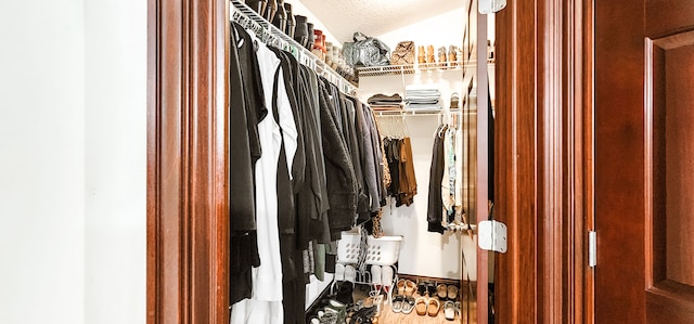 view of walk in closet