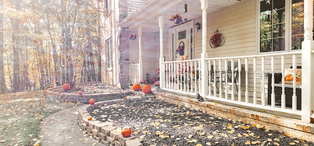 view of exterior entry with a porch