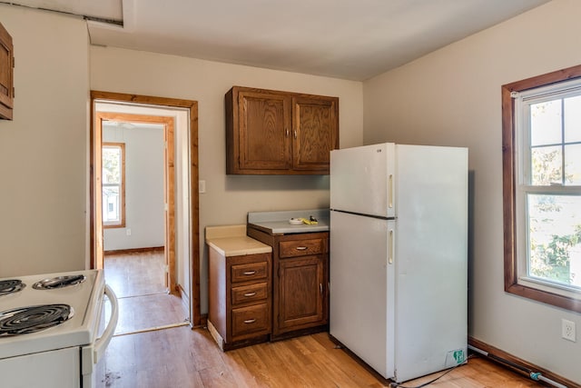 kitchen featuring white appliances, light hardwood / wood-style flooring, and a wealth of natural light