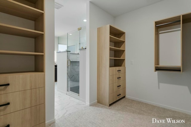 spacious closet featuring light colored carpet