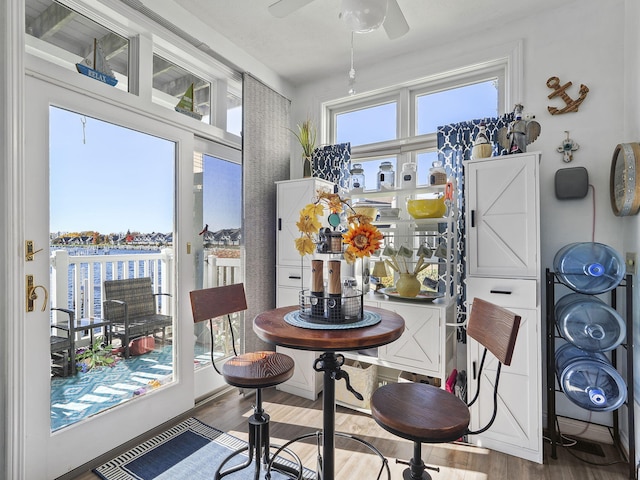 dining area featuring ceiling fan, a healthy amount of sunlight, and hardwood / wood-style flooring