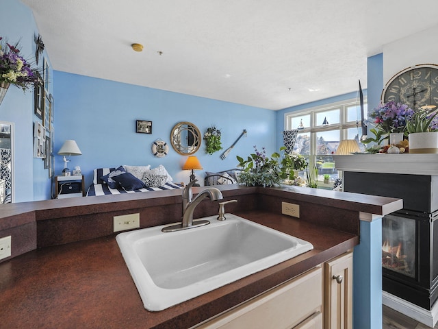 kitchen with dark hardwood / wood-style flooring and sink