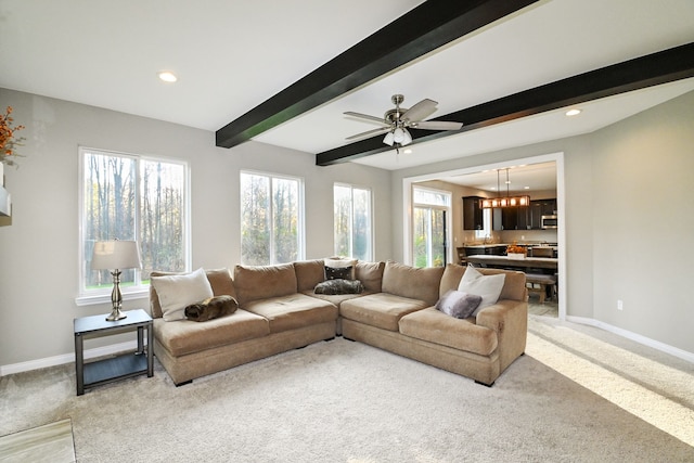 carpeted living room with beamed ceiling and ceiling fan with notable chandelier