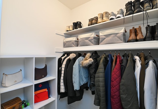 view of spacious closet