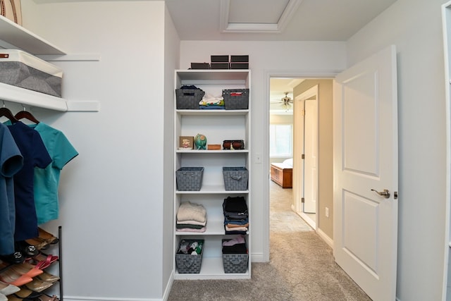 spacious closet with carpet