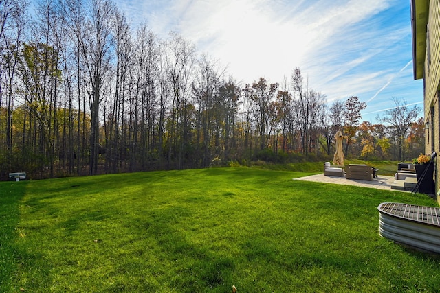 view of yard with a patio area