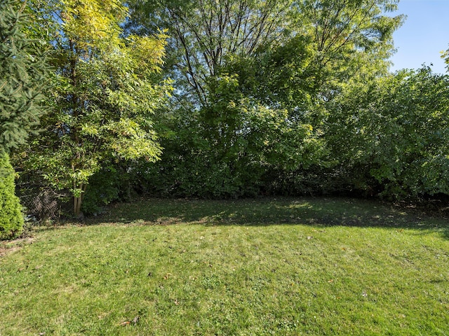 24524 Beck Ave, Eastpointe, MI 48021 - view of grassy yard