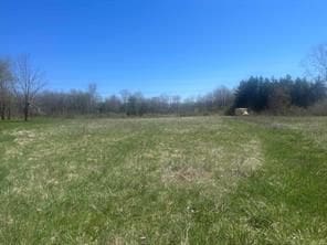 9062 Tower Rd E, South Lyon, MI 48178 - photo 1