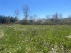 9062 Tower Rd E, South Lyon, MI 48178 - photo 2