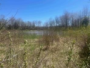 9062 Tower Rd E, South Lyon, MI 48178 - photo 3