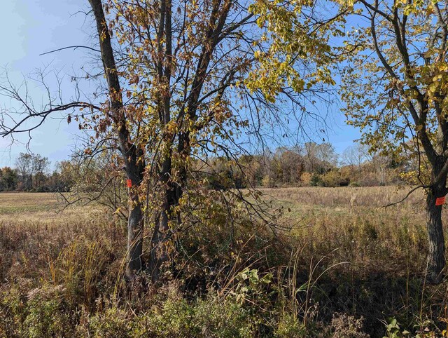 N/A Tonkey Rd, Au Gres, MI 48703