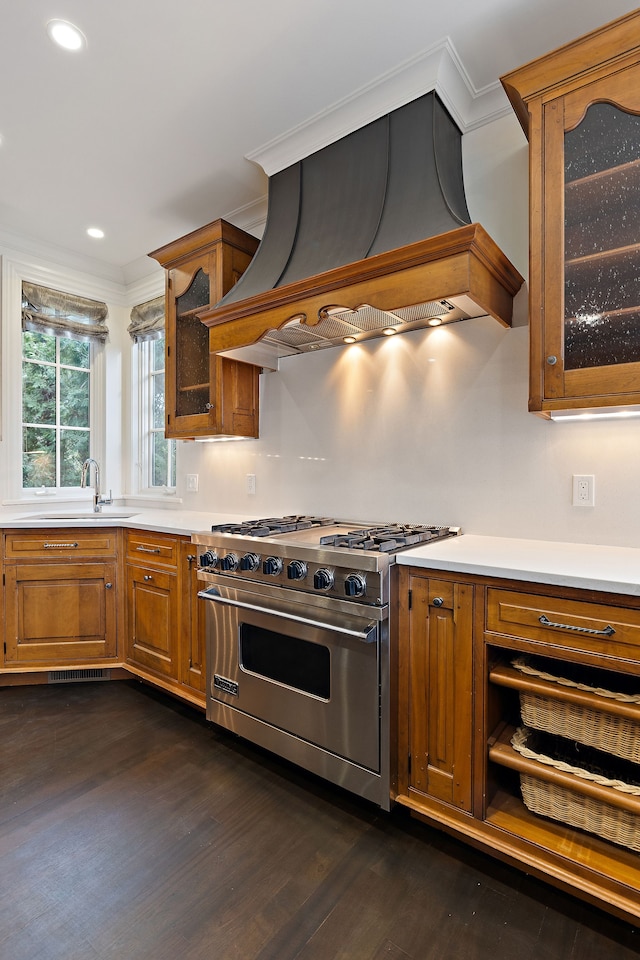 kitchen with custom exhaust hood, light countertops, glass insert cabinets, a sink, and premium stove