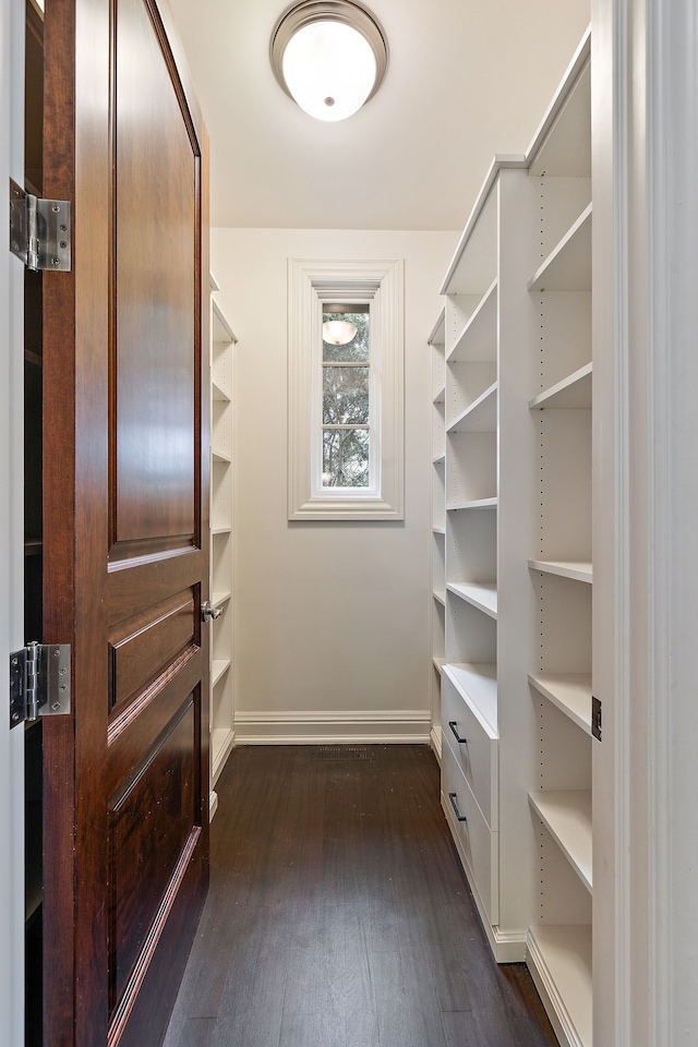 walk in closet featuring dark wood finished floors