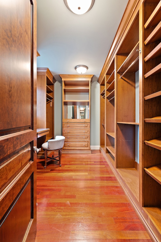 walk in closet featuring wood finished floors