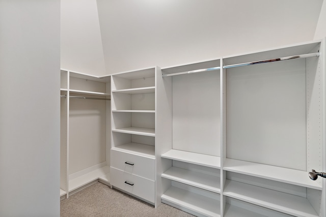 spacious closet featuring light colored carpet