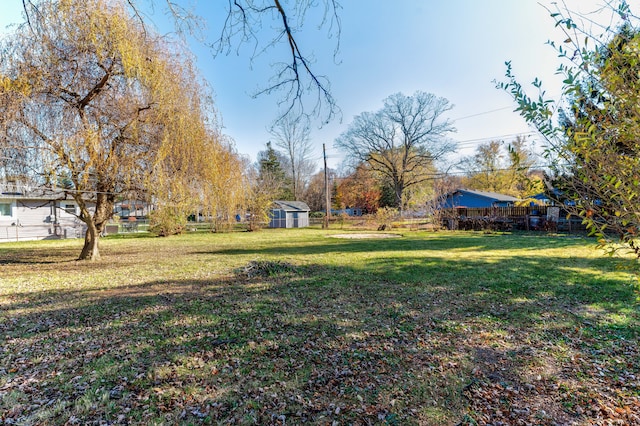 view of yard