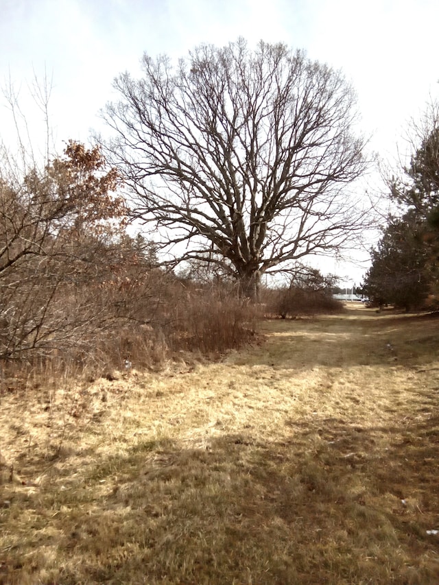 4076 Morrish Rd, Swartz Creek MI, 48473 land for sale