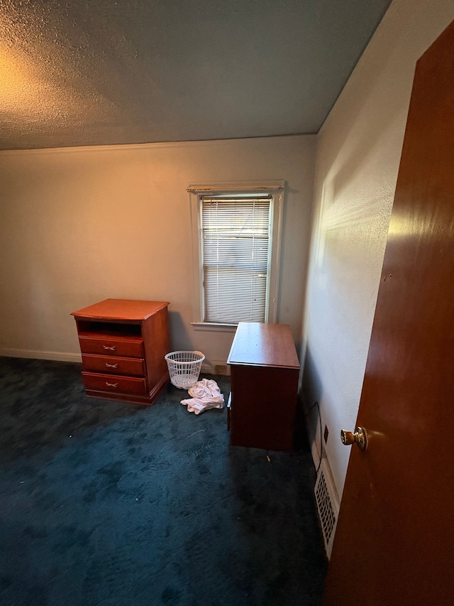 interior space with dark colored carpet and a textured ceiling