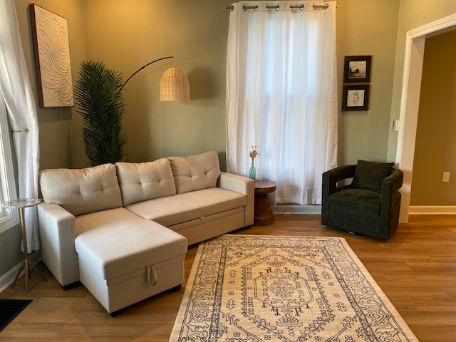 living room featuring light hardwood / wood-style flooring