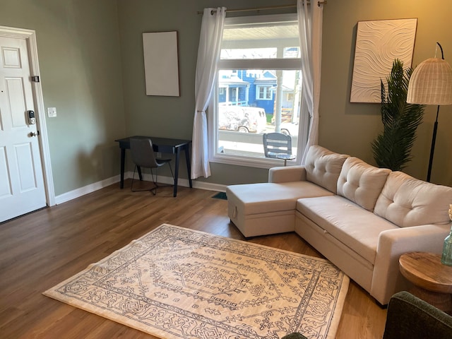 living room with hardwood / wood-style floors