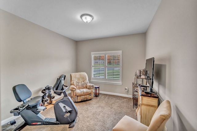 exercise room featuring carpet flooring