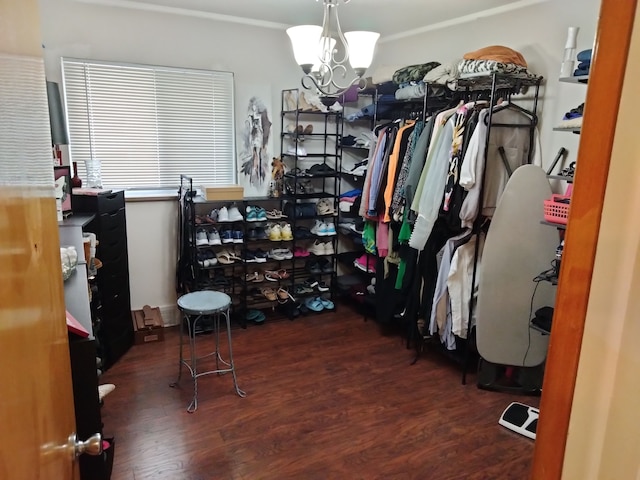 walk in closet with dark hardwood / wood-style flooring and a notable chandelier