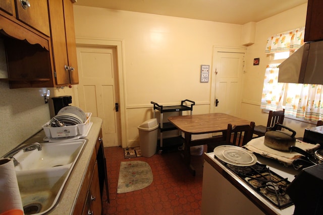 kitchen with sink