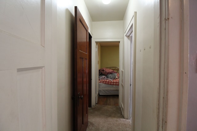 hallway featuring carpet flooring