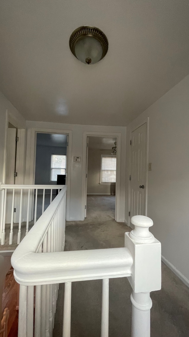 stairs featuring a healthy amount of sunlight and carpet floors