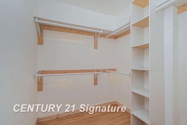 walk in closet featuring hardwood / wood-style flooring