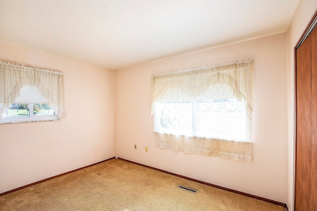 spare room featuring carpet floors