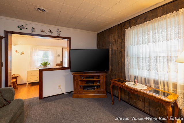 carpeted living room featuring wood walls