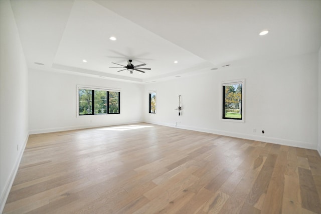 unfurnished room featuring light hardwood / wood-style floors, a raised ceiling, and a wealth of natural light