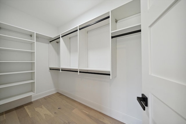 spacious closet featuring light hardwood / wood-style flooring