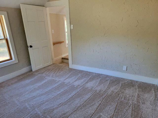 unfurnished room featuring carpet floors