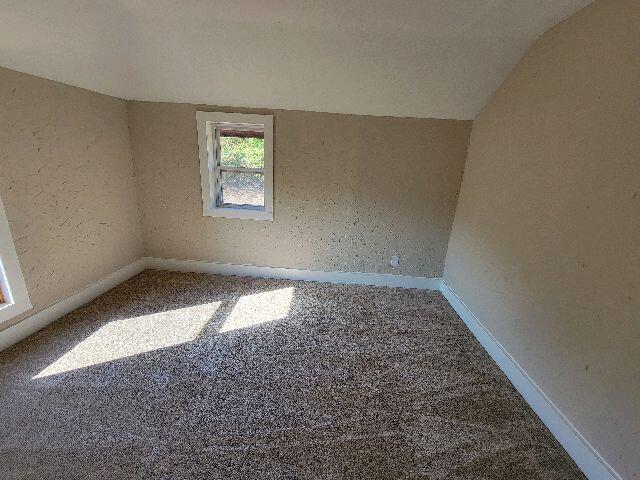 carpeted spare room featuring vaulted ceiling