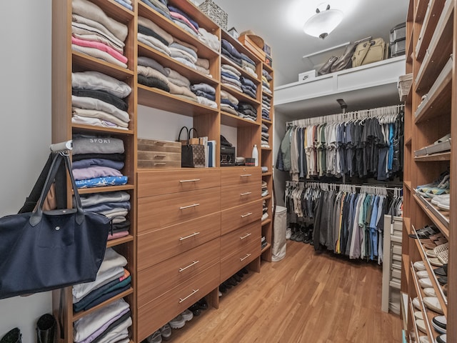 walk in closet featuring light hardwood / wood-style floors