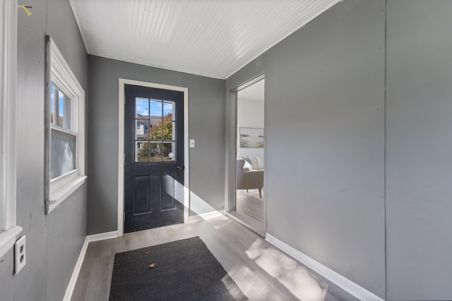 doorway featuring wood-type flooring