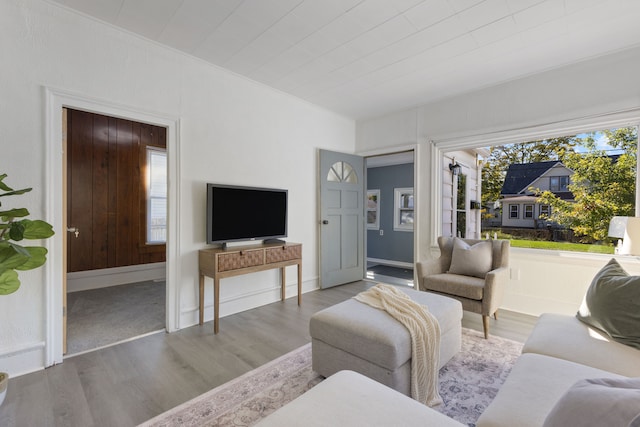 living room featuring hardwood / wood-style flooring