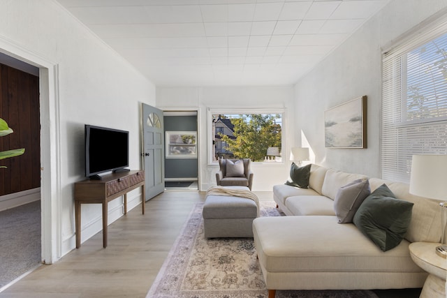 living room with a healthy amount of sunlight and light hardwood / wood-style floors