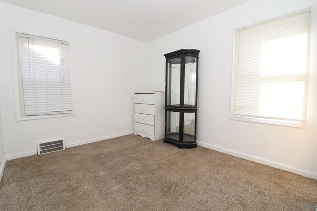 spare room featuring carpet and a healthy amount of sunlight