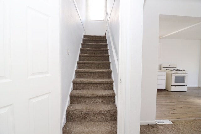 staircase featuring wood-type flooring