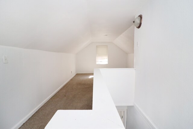 additional living space featuring carpet and lofted ceiling