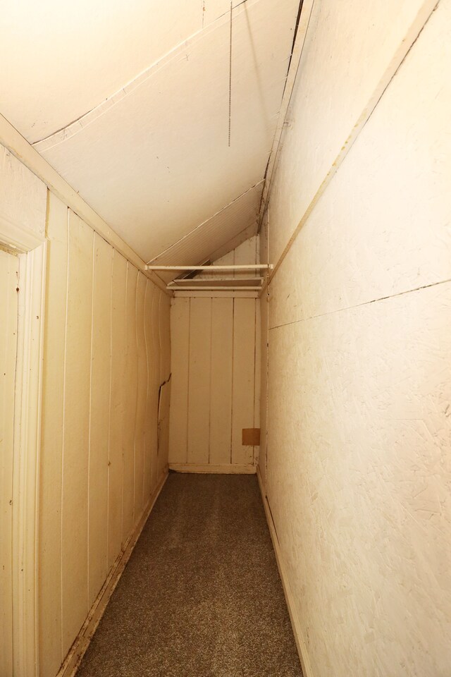 basement featuring carpet flooring