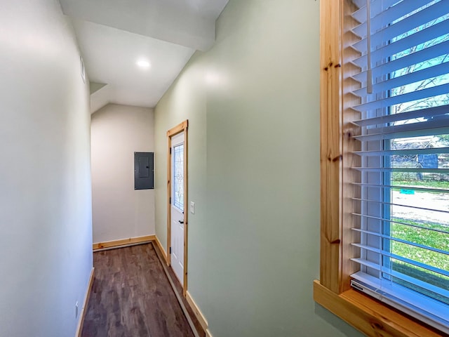 hall featuring plenty of natural light, dark hardwood / wood-style flooring, and electric panel