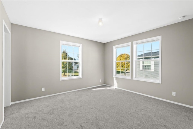 carpeted empty room featuring a wealth of natural light