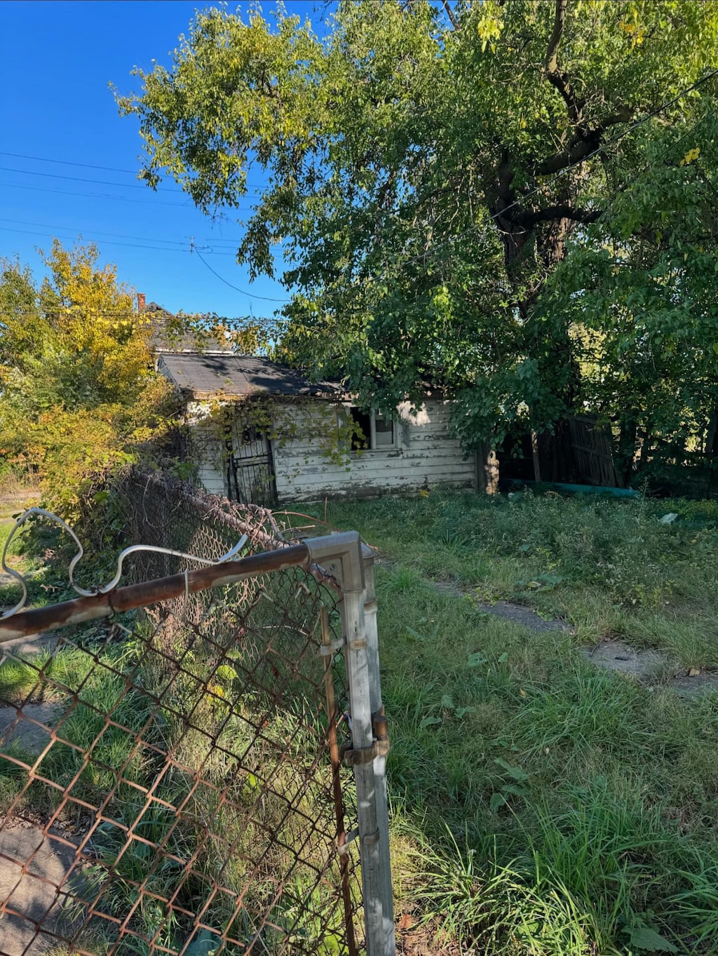 6028 Seminole St, Detroit, MI 48213 - view of yard
