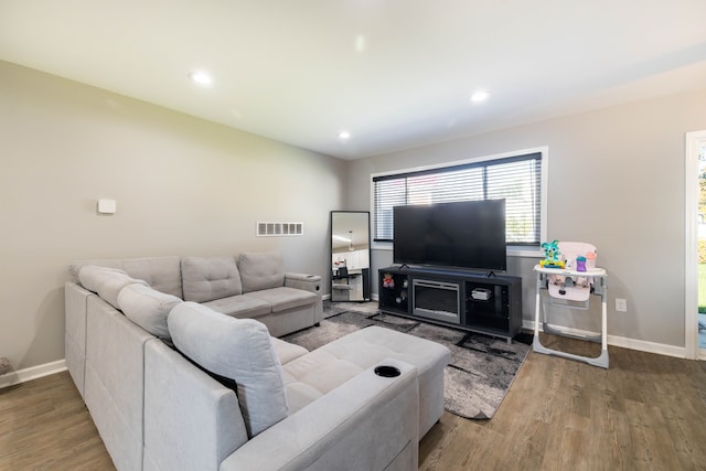 living room featuring wood-type flooring