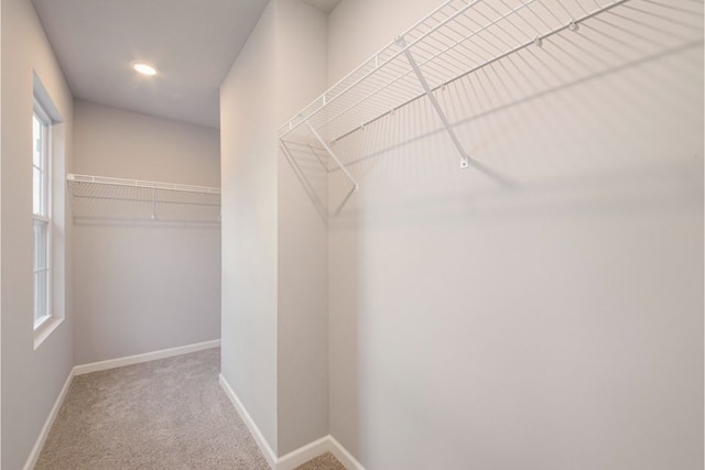 spacious closet with carpet floors